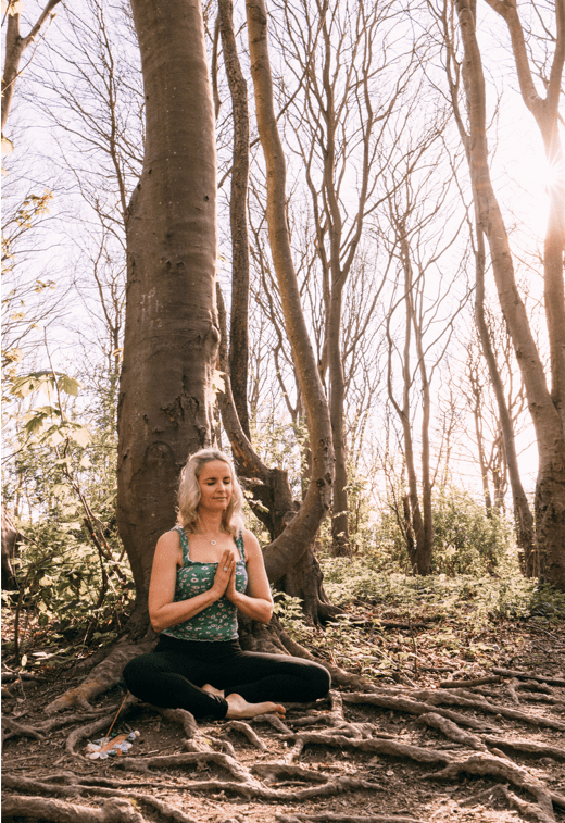 Cara Meditation In Trees